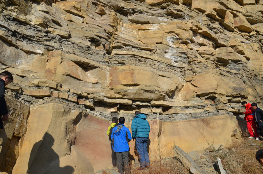 南宫NG28相信品牌的实力网址(中国)官网