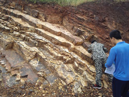 南宫NG28相信品牌的实力网址(中国)官网